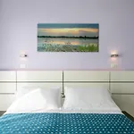 Hotel Baya - In Centro, Sul Mare 3*